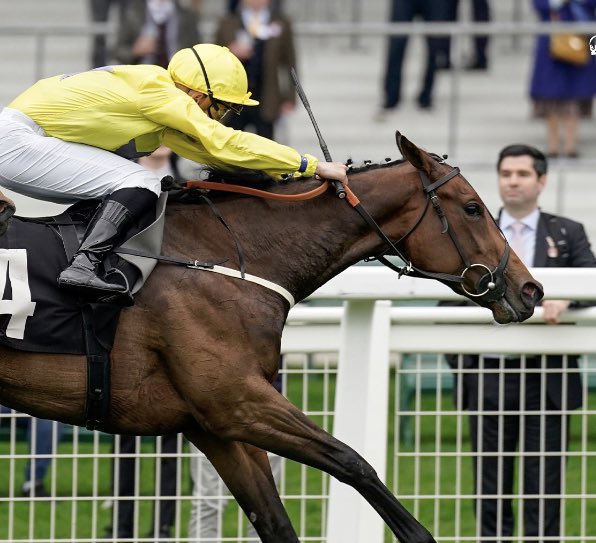 BallyhaneStud's tweet photo. SOLDIER’S CALL’s big weekend continues as Dawn Charger wins the Gr.3 Prix Eclipse in France today. 🚀 Congrats to legendary breeder Jim Bolger @karl_burke @pljamin25 who rode SOLDIER’S CALL himself as a 2yo👏🏻👏🏻 https://t.co/fOMpoXBLPR