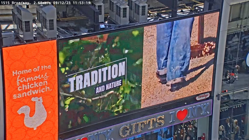 Guerrero Cubano tweet media