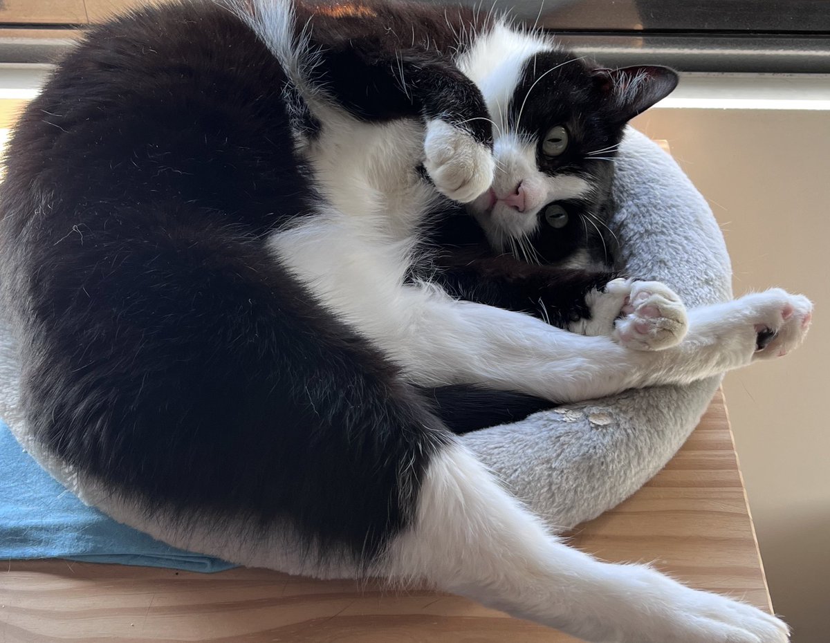 Dr Finished and Tired tweet media