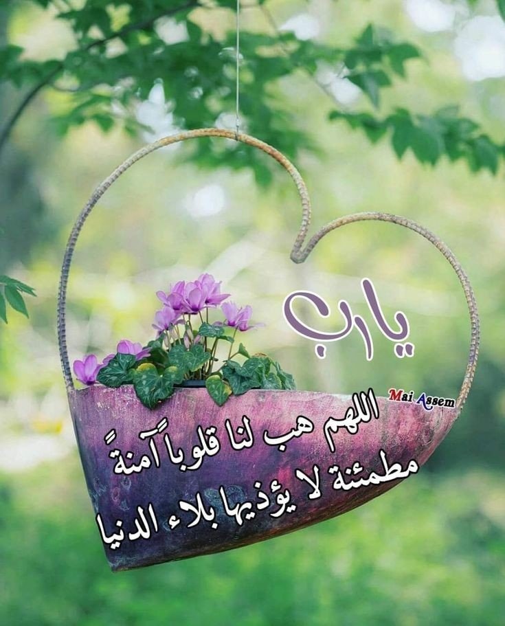 زيد tweet media