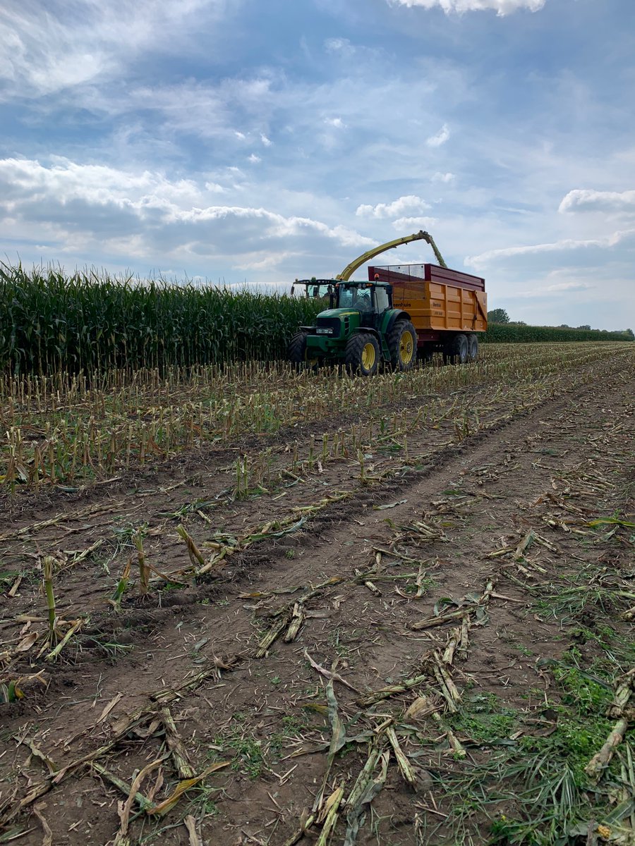 Harvest 2023 under way. 🌽🚜