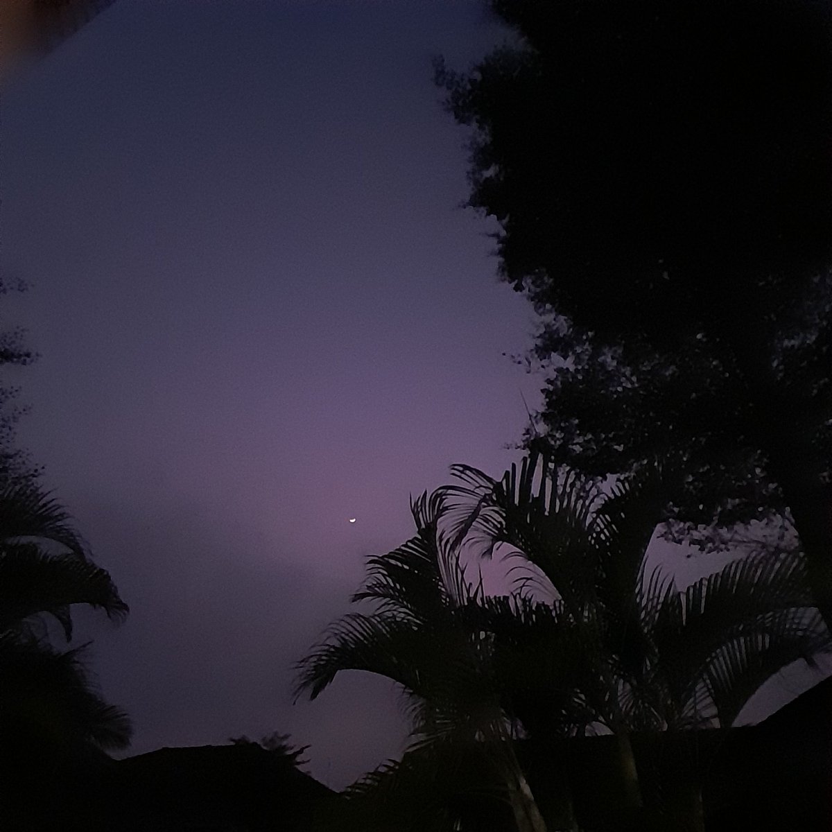 Om funky (@omfunky9) on Twitter photo 