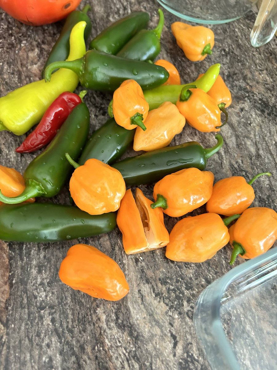 Kim Spencer Dakin tweet media