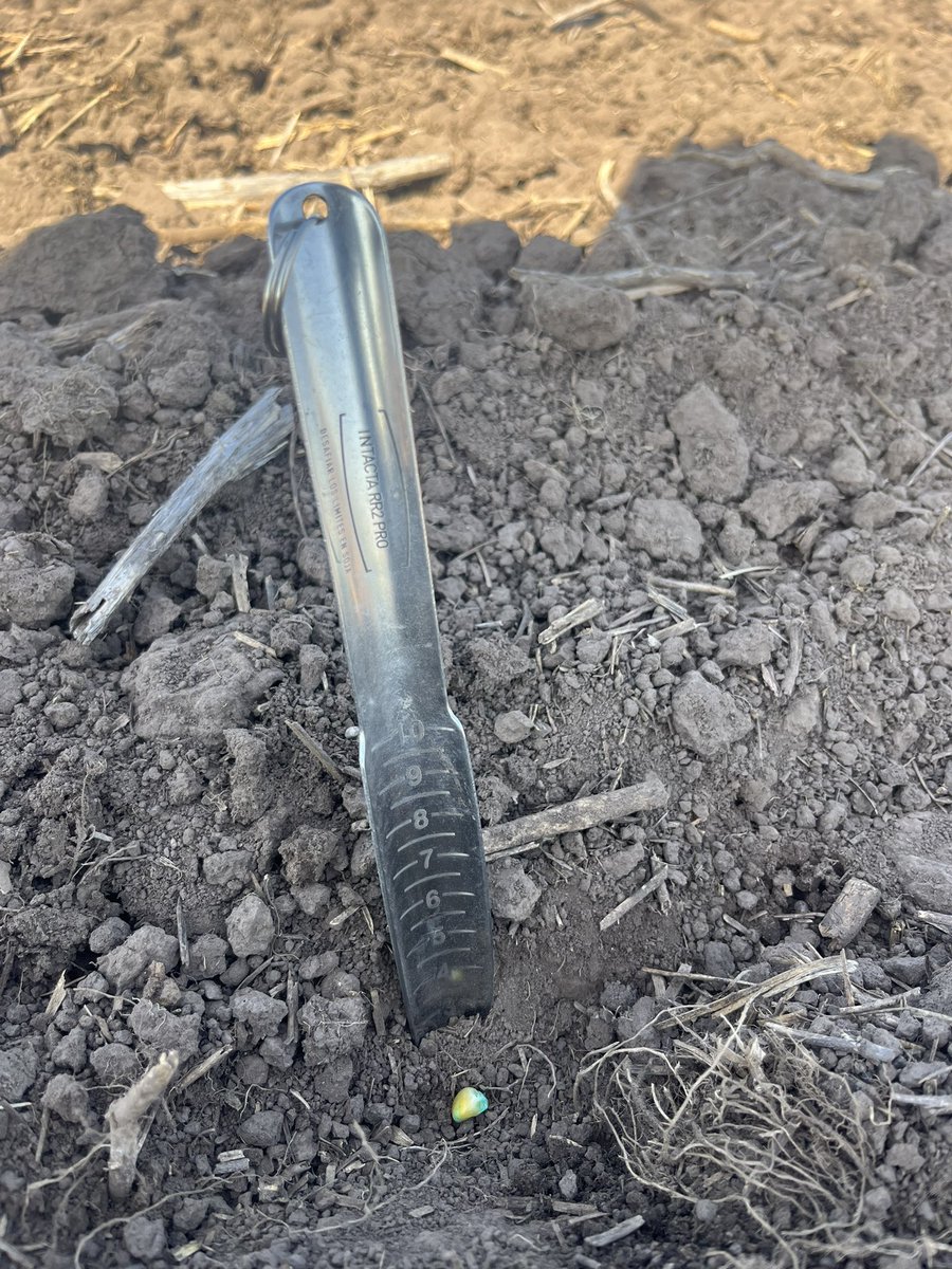 Fernando270879's tweet photo. Largando siembra 🌽 DK 7272 TRE @agroterrauy https://t.co/DizzZdhFRe