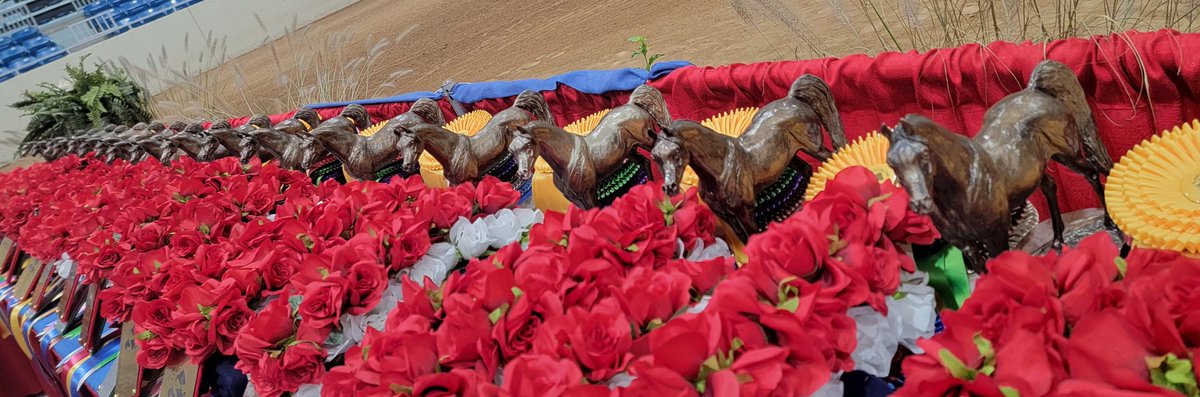 Last classes of 2023 AMHR NATIONALS! Stakes are here.