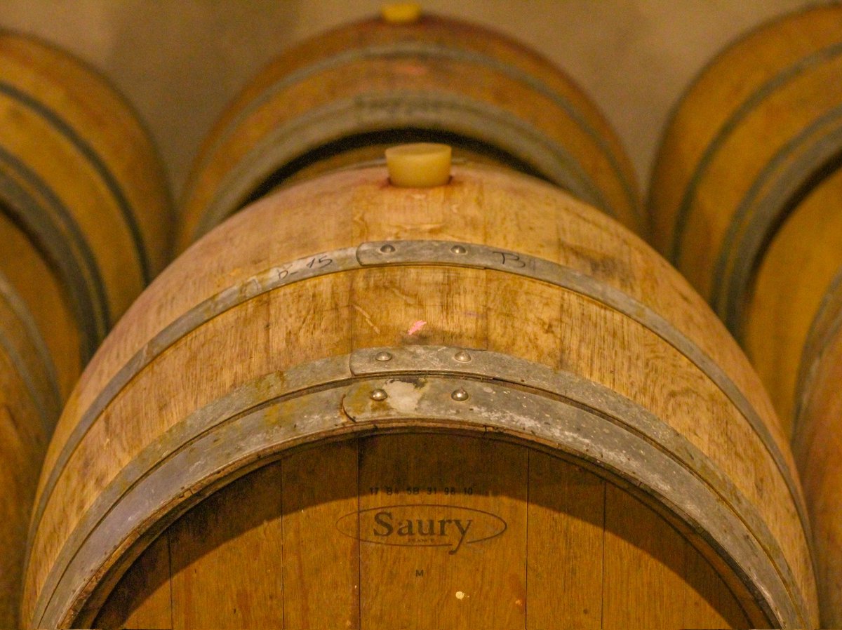 Recomendación de lectura #LetrAAS, edición 71

🔸”Los mecanismos de la fermentación maloláctica” (por Manuel Recabarren)

Una mirada sobre el paso de ácido málico a láctico.

Leé la nota acá 👉 bit.ly/Malolactica

📲 Suscribirte al newsletter en aasommeliers.com.ar