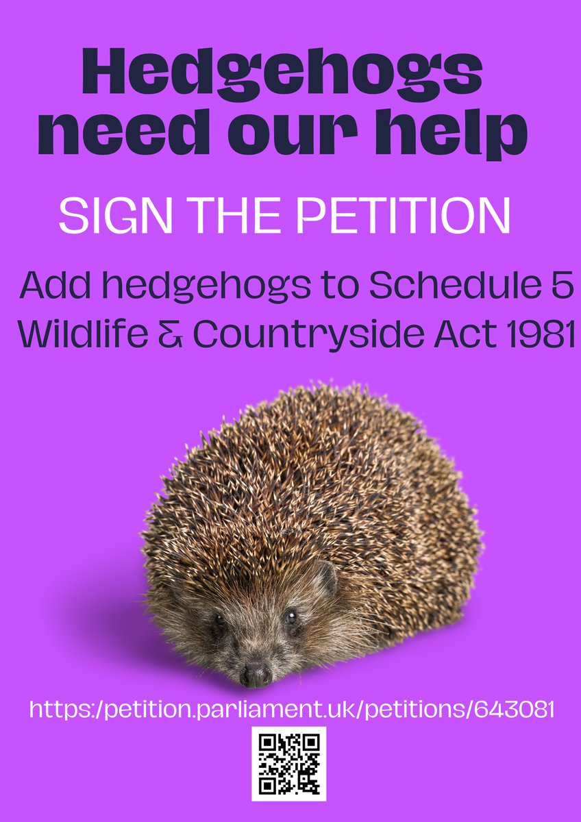 Patches is having a kip in the hog house.  No streaming cam there but no doubt he &amp; the other hogs will make an appearance tonight. 
While you're here, please sign &amp; share my petition.
You'll be helping every #hedgehog in the UK
petition.parliament.uk/petitions/6430…
