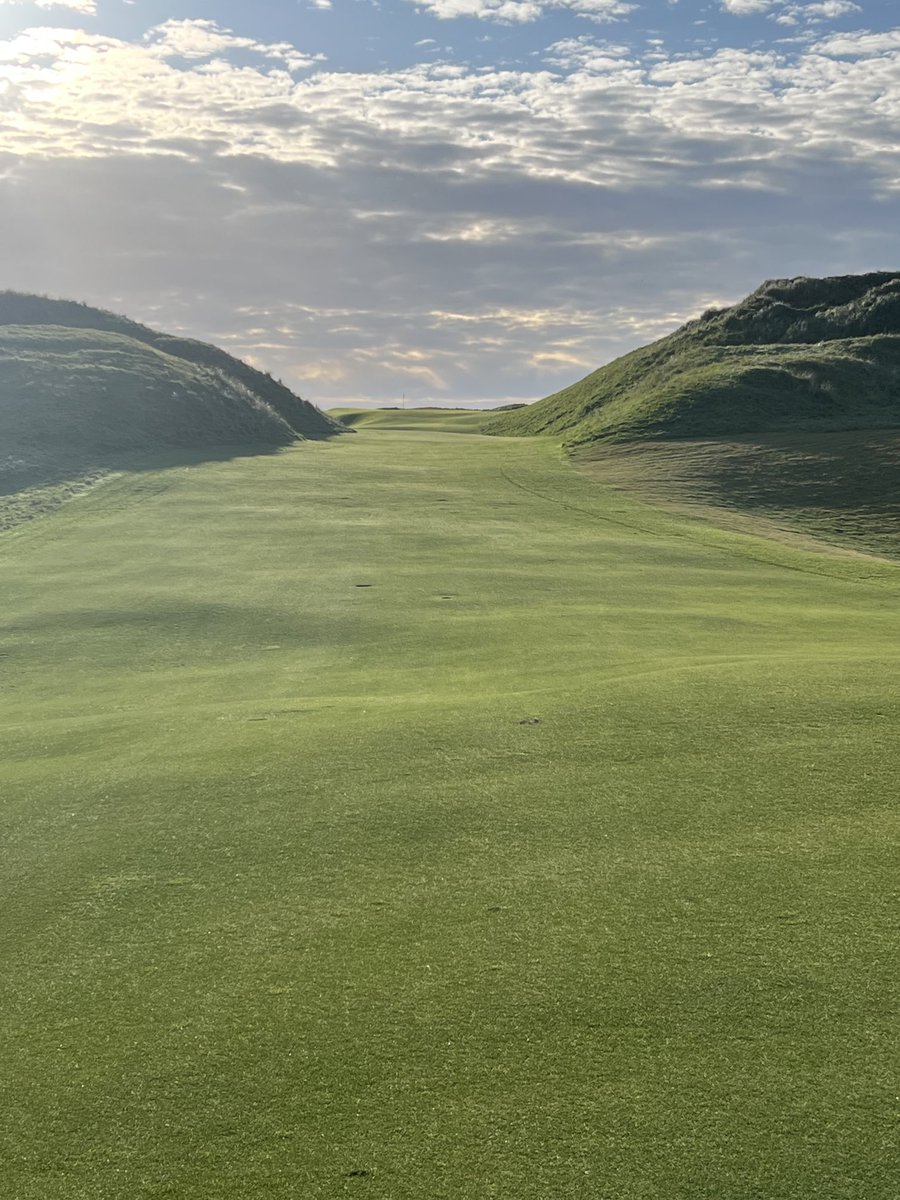 findingfescue tweet media