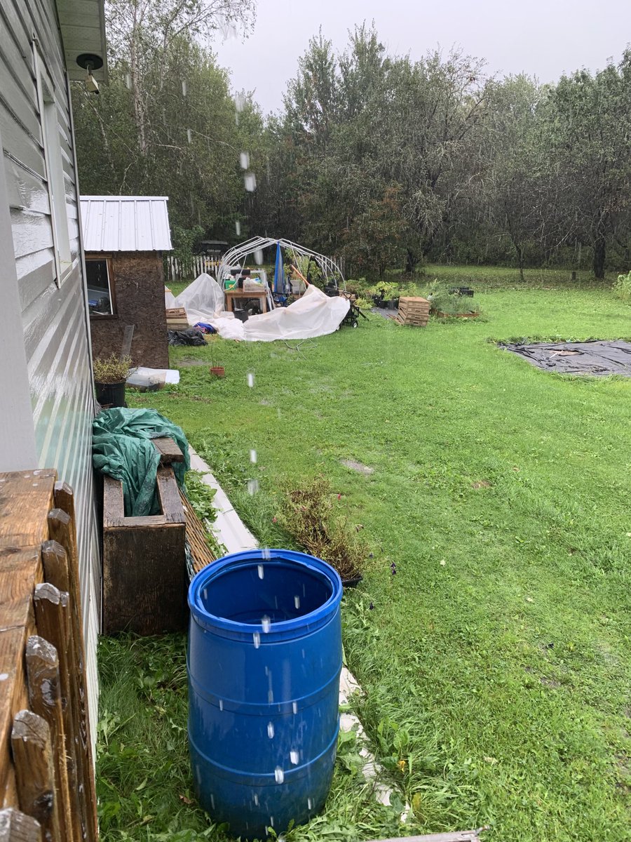 Honey-do list getting longer… #NBLee