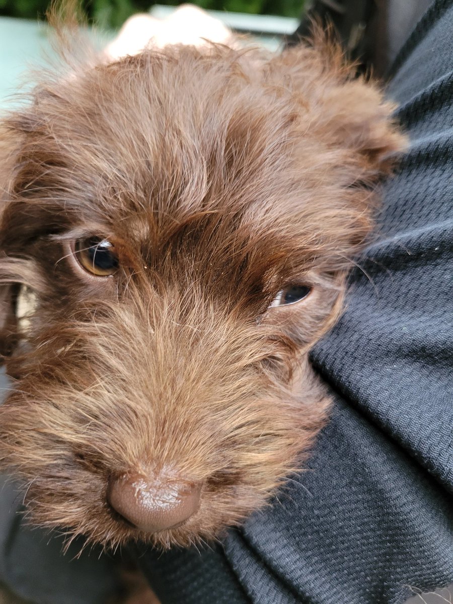 Da fallen gleich jemandem die Augen zu 🥰