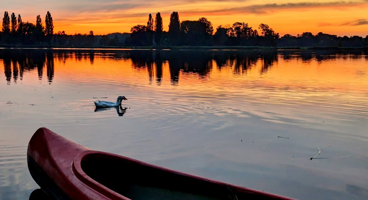 Martijn Kleingeerts tweet media