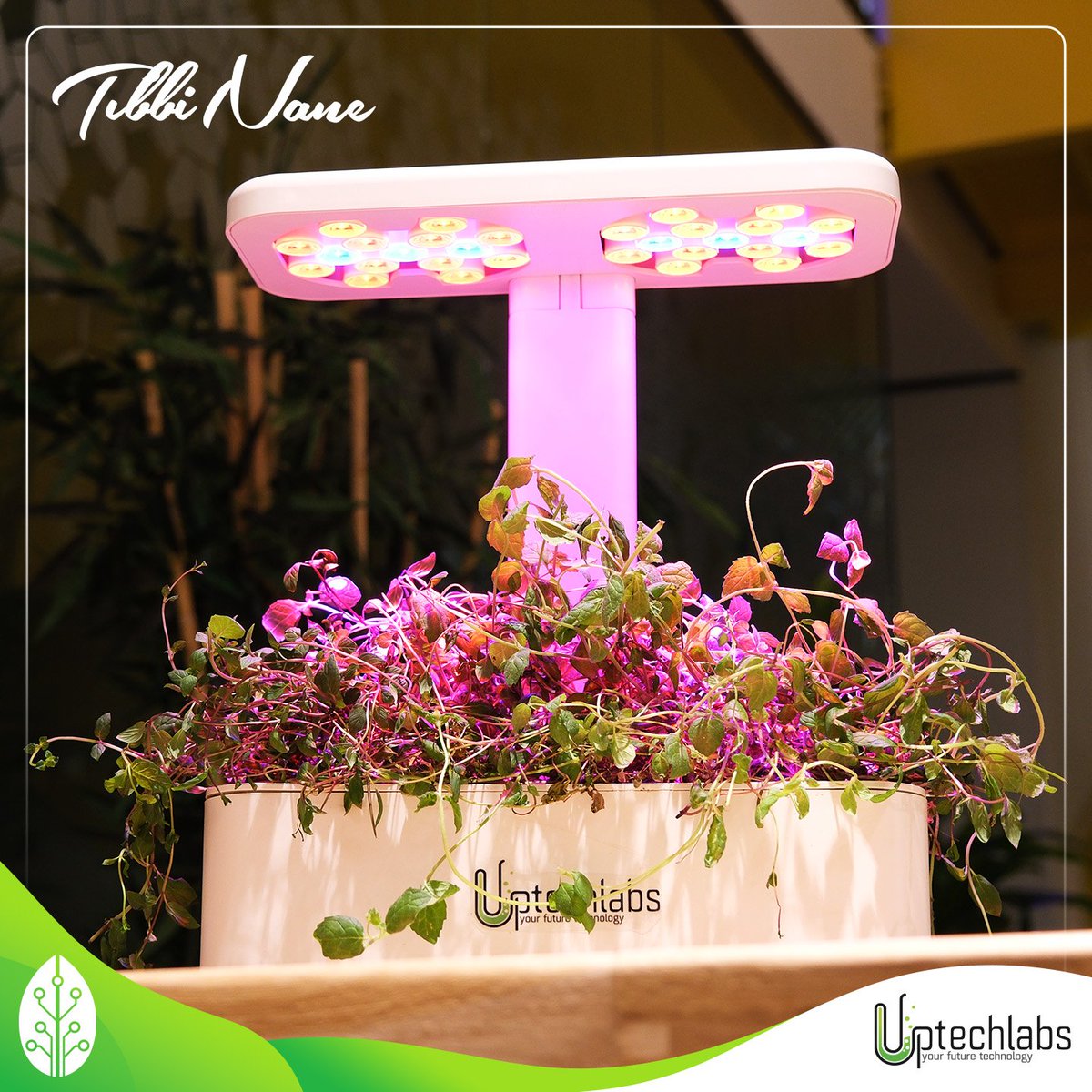 Uptechlabs tweet media