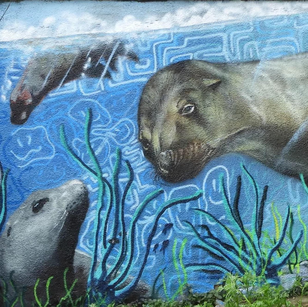 Valpolanco3's tweet photo. Un pedazo de Pacífico para nuestro mirador, chungungos y lobos marinos fueron depositados por los gigantes @bajo_los_humos y y.uksa en calle Antúnez 🦭
#graffiti #mural #muralismo #faunamarina #marina #sea #oceano #pacific #ocean https://t.co/zA44RCIDYH