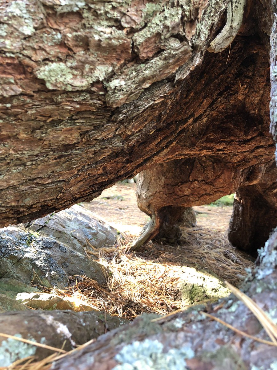 BSchmidpeter's tweet image. Heute möchte ich euch einmal zeigen, wie schön es bei uns ist #murtal #bergliebe #familie