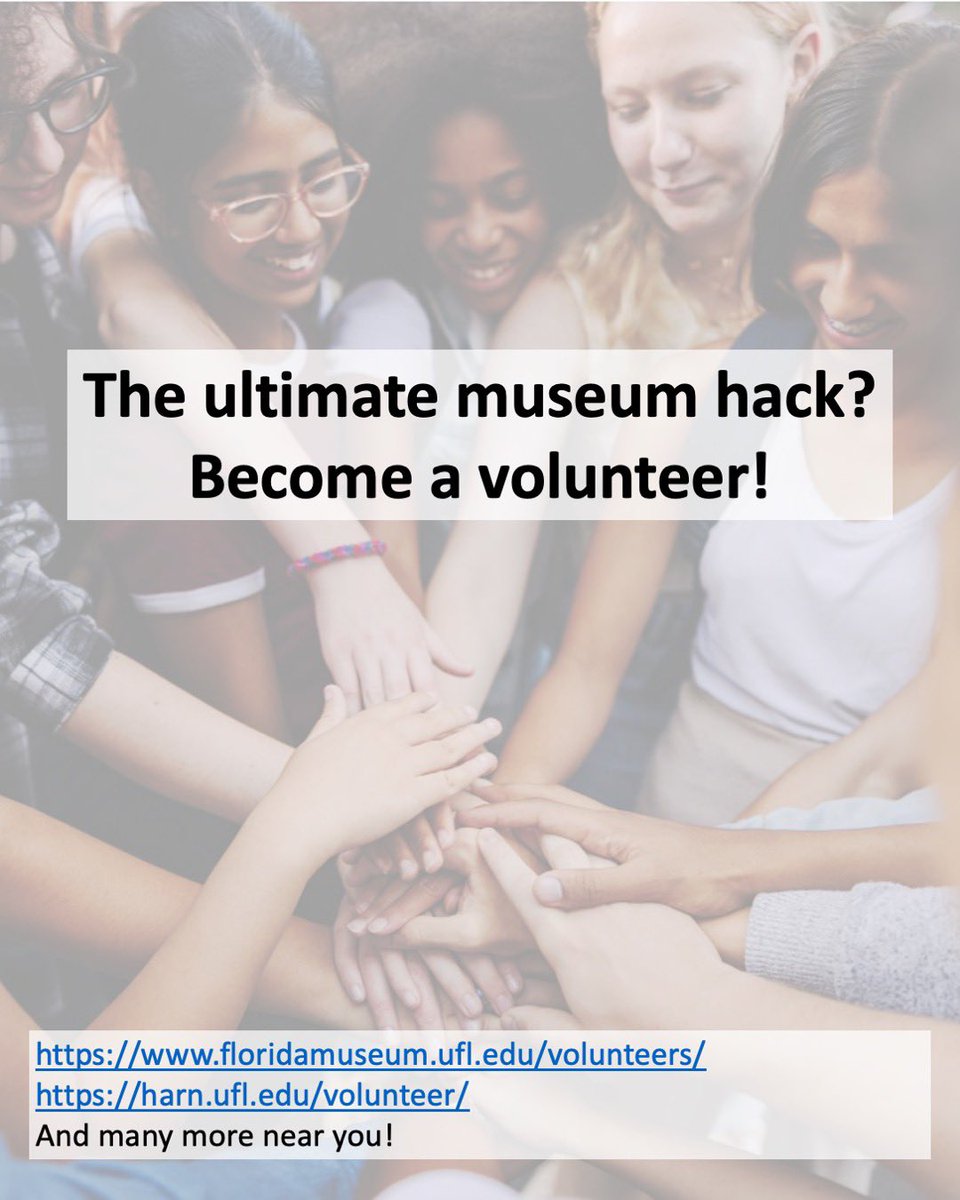 UFMuseumStudies's tweet photo. Museums are awesome, but have you ever tried adding in your own flare?
Swipe for ideas on games and tie-ins for your next museum trip, and be sure to tag us!
#museumday #museumgames #musepose #museumselfie #museumfood #museumsareawesome
@floridamuseum
@harnmuseumofart https://t.co/jm7Ejtwlx6