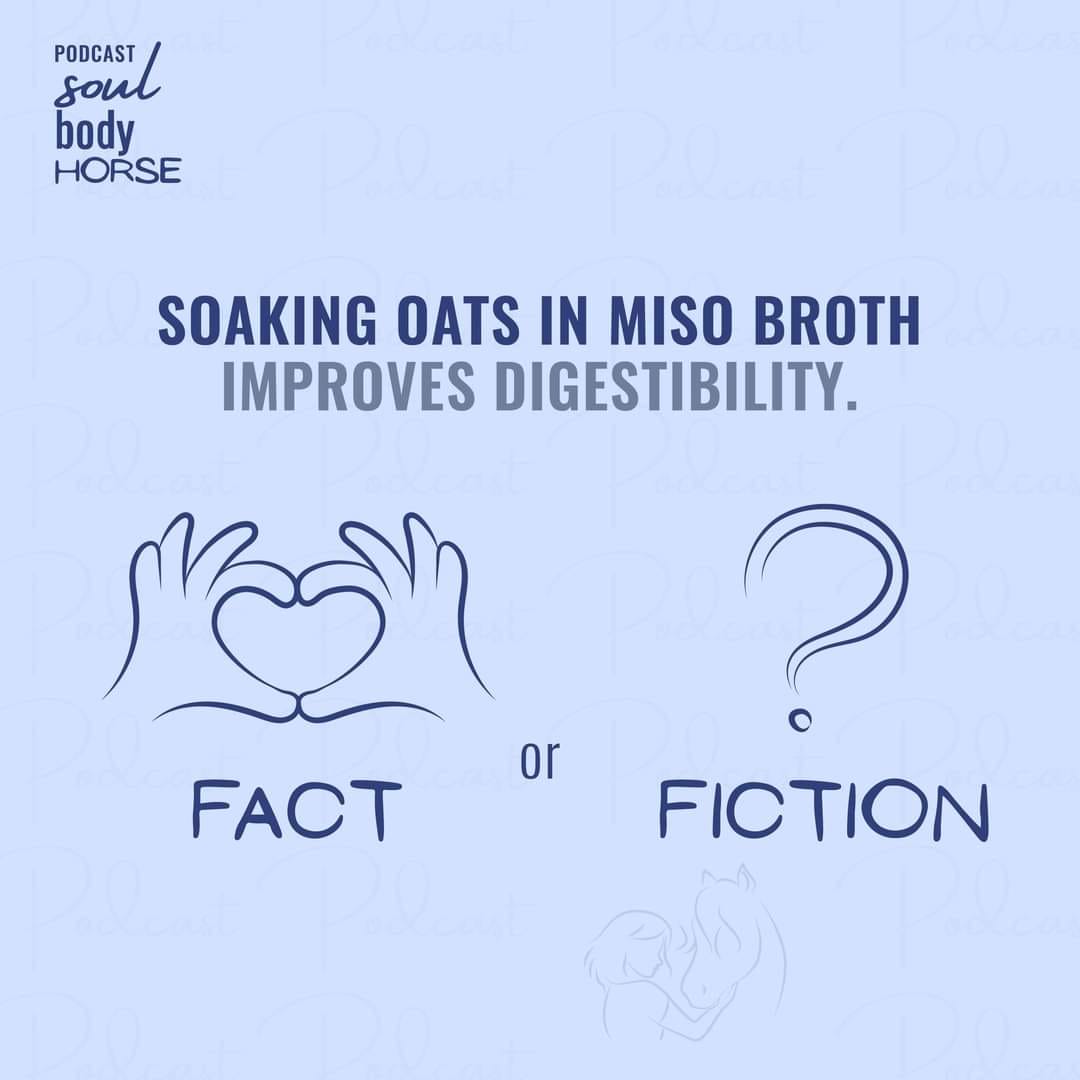 AponaRanch's tweet photo. 🍲 FACT or FICTION? 🌿 COMMENT BELOW!

The answer's waiting for you in the latest #SoulBodyHorse episode! 🐎 Check it out in your favorite podcast app. 🎧

https://t.co/jHfehxXqk5

#misobroth #horsediet #horsenutrition #macrobiotics #nutrition #horselove #equestrian https://t.co/p9APhpeKjr