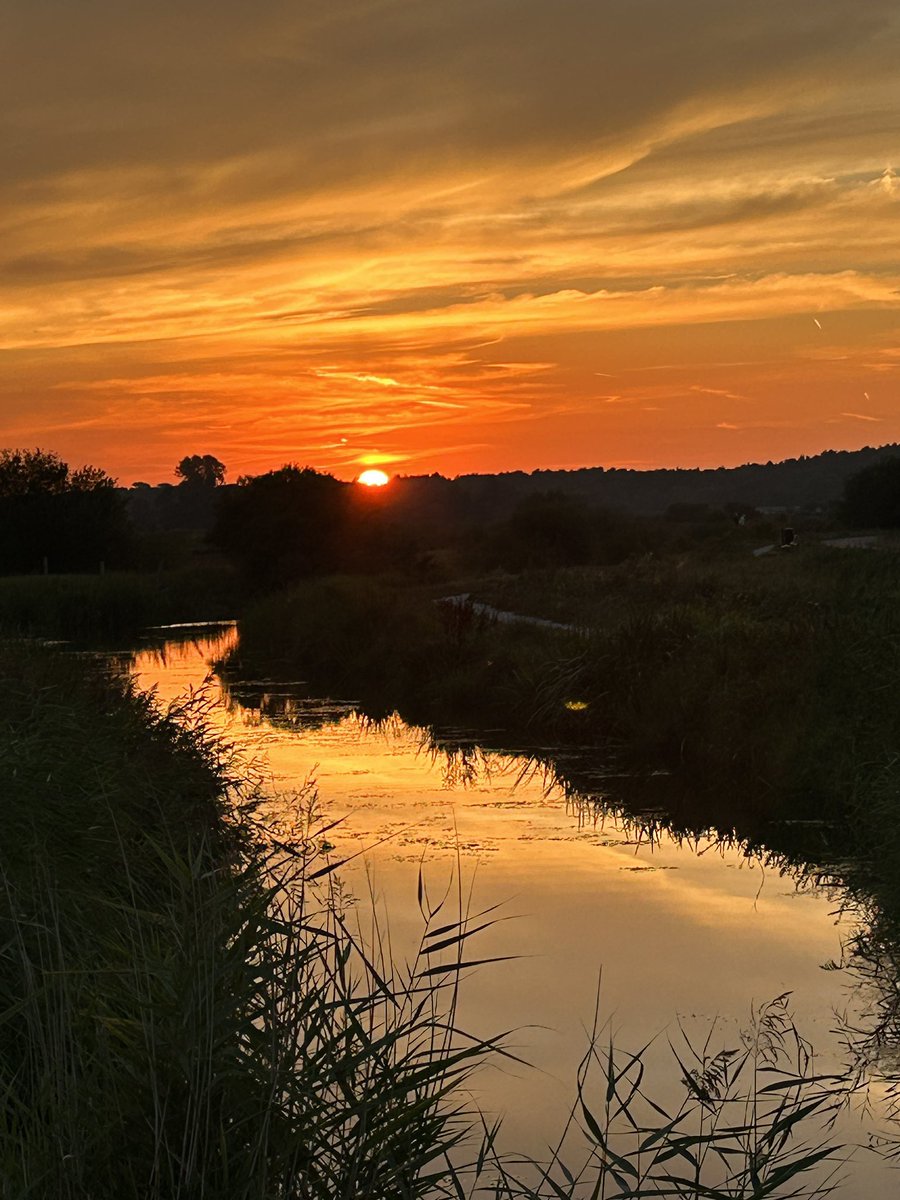 Sunset chaser🙋🏼‍♀️ #betterthannetflix