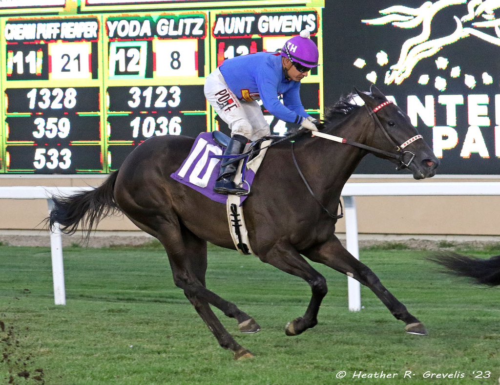 minnesotabred's tweet photo. Two Practical &amp; Israel Hernandez for trainer Mac Robertson &amp; owners Tailored for Gold Stables &amp; Zahler Racing; @CanterburyPark https://t.co/m58ljdiGUM