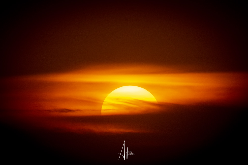 📷📷Good Morning World!📷📷                                                  

Check out our daily top 8 artists on #Hive    

▫️ Round 1531  
▫️ Image by Marc-Allaria

peakd.com/hive-153349/@p…

#photography #hive #hiveworks #hiveblog #HIVETwitter #photo #artist #photofeed $hive