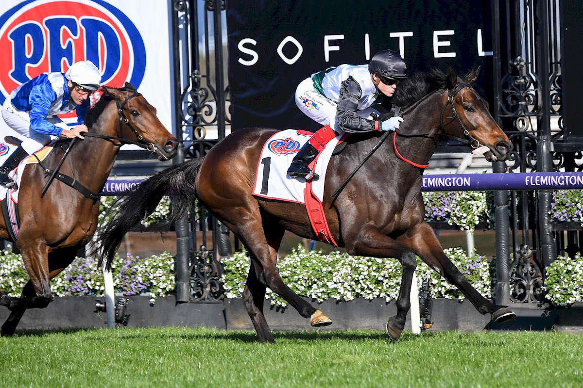 Racing_Previews's tweet image. Point and shoot 🔫

#MrBrightside