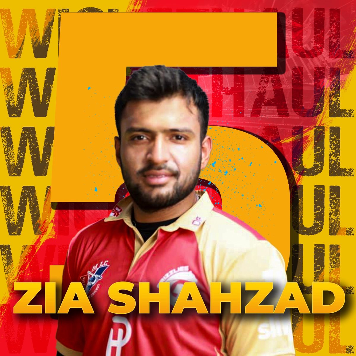 Precision bowling at its finest, celebrating a 5-wicket masterpiece! 🎯🏏