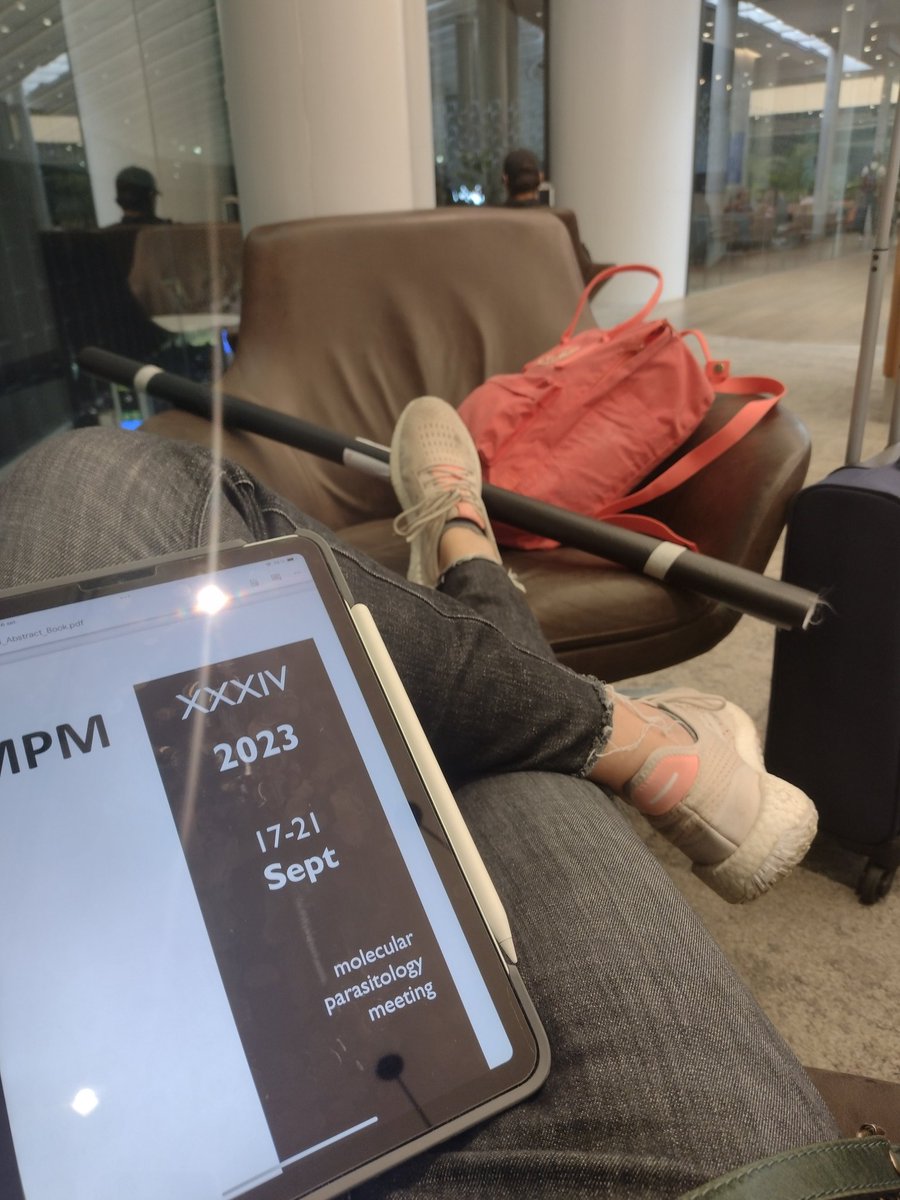 Luisa Berná (@luisabernaz) on Twitter photo On my long journey to the MPM from Uruguay <a href="/FcienUdelar/">Facultad de Ciencias</a>,<a href="/IPMontevideo/">Institut Pasteur Montevideo</a> I am looking forward to participating again in this great event! meeting friends, and getting to know new ones #MPM #exited On my long journey to the MPM from Uruguay <a href="/FcienUdelar/">Facultad de Ciencias</a>,<a href="/IPMontevideo/">Institut Pasteur Montevideo</a> I am looking forward to participating again in this great event! meeting friends, and getting to know new ones #MPM #exited
