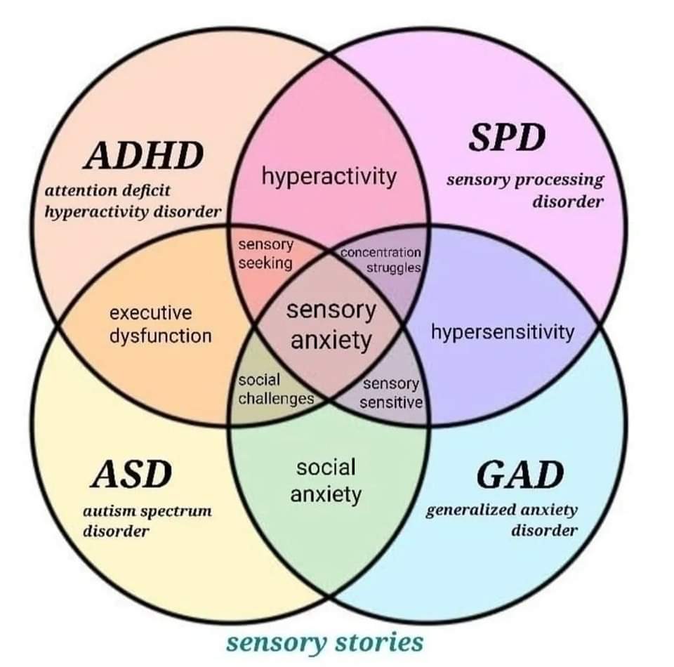 sensorystories_'s tweet image. ADHD, autism, sensory processing disorder (SPD), and generalized anxiety disorder (GAD) very often overlap.