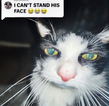 Interesting As Fuck (@interesting_ail) on Twitter photo 