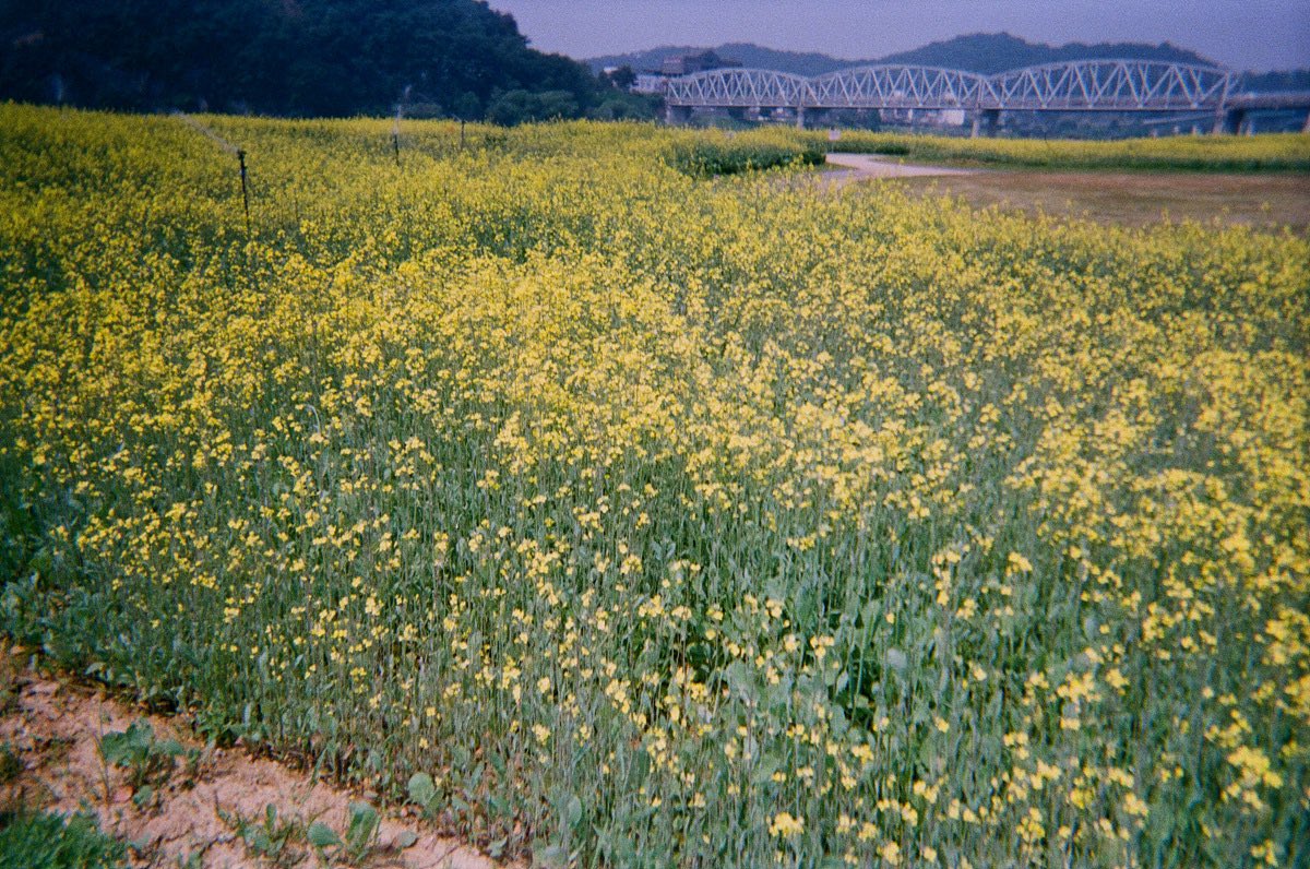 ˚✧ ﾟ. 𝓒omp𝒍ex ♡ ｡ﾟ ░ tweet media