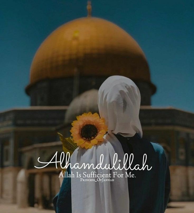 السلام علیکم۔۔۔۔۔!!❣️
صبح بخیر۔۔۔۔۔!!🌺