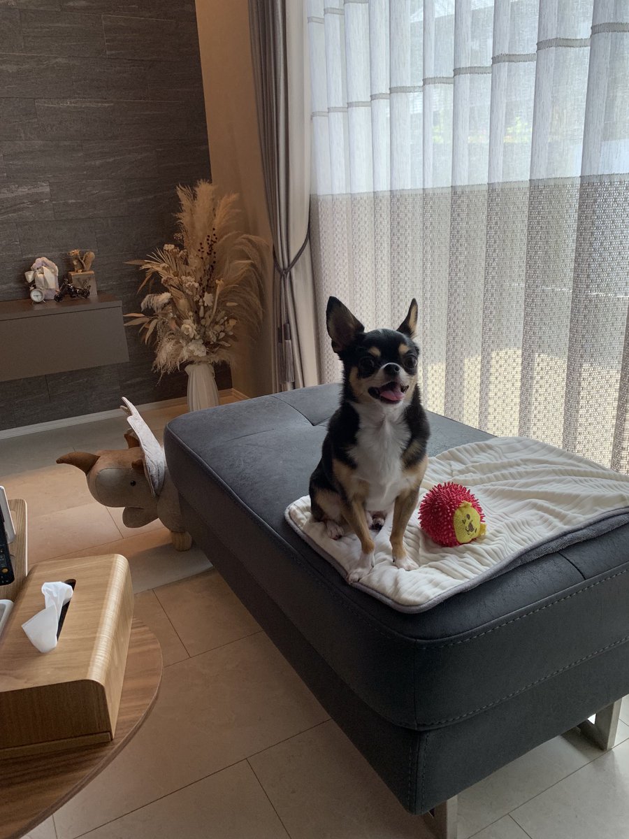 ꧁ぷれこ꧂꧁Marathon꧂ tweet media