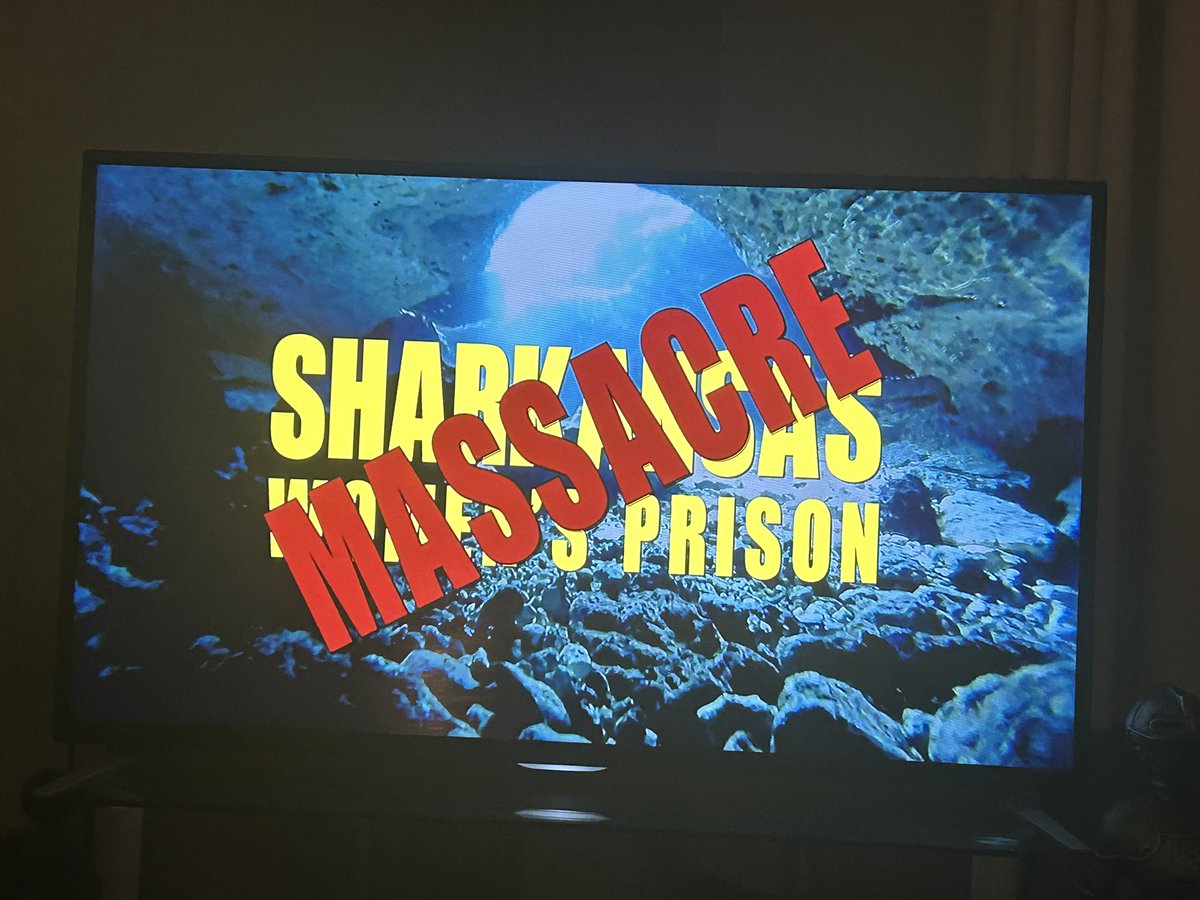 Lyndsey A tweet media