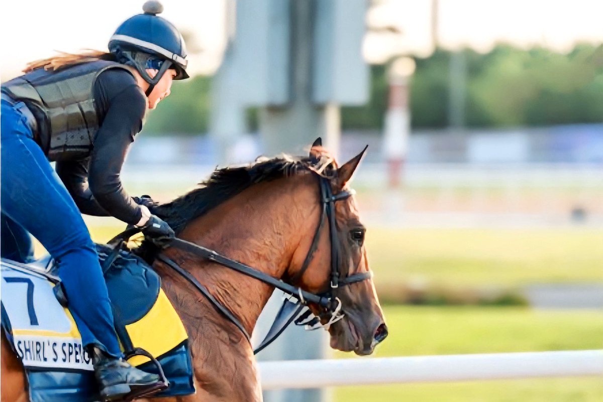 AllysonKWalker's tweet photo. Wishing all the luck in the world to Shirl’s Speight, @AttfieldRoger & connections today in the Woodbine Mile S. @WoodbineTB #winandyourin #breederscup https://t.co/6hDtnASXHC