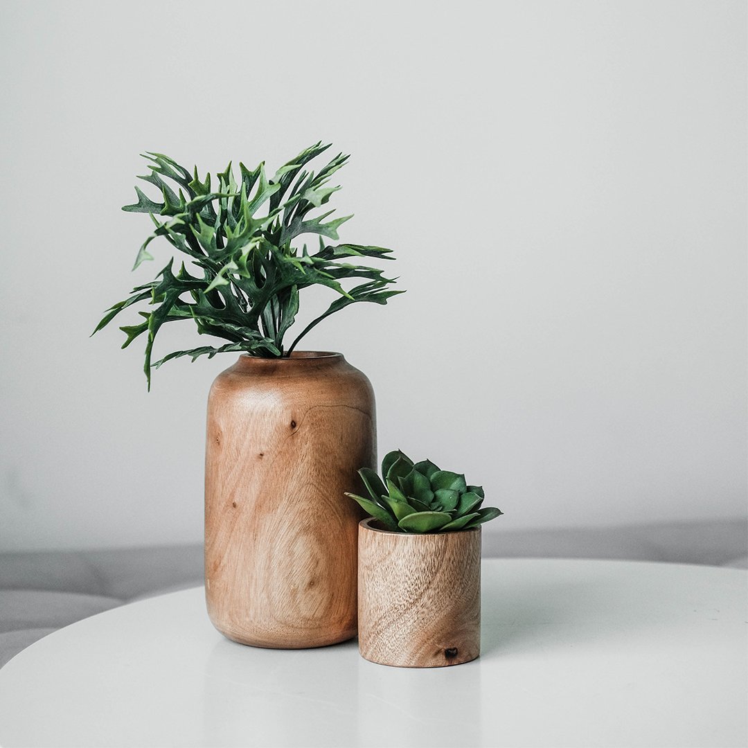 Botandoofficial's tweet photo. Start your gardening journey off the right way - when using a wooden pot or planter, make sure to use a potting mix instead of a garden soil for optimal drainage and healthy plants. https://t.co/047tL7GwLj
