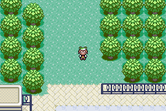 TodoPasso's tweet photo. Dia 553. Boa tarde, como vocês tão? Sem interação hj.
Lara:Oi. Tô sem muito o que fazer por aqui.
#Pokemon #Passoverso #Pagiverso 
Objetivo: Rustboro Gym
Não esquece de votar e dar rt https://t.co/UB8Y5n9k5x