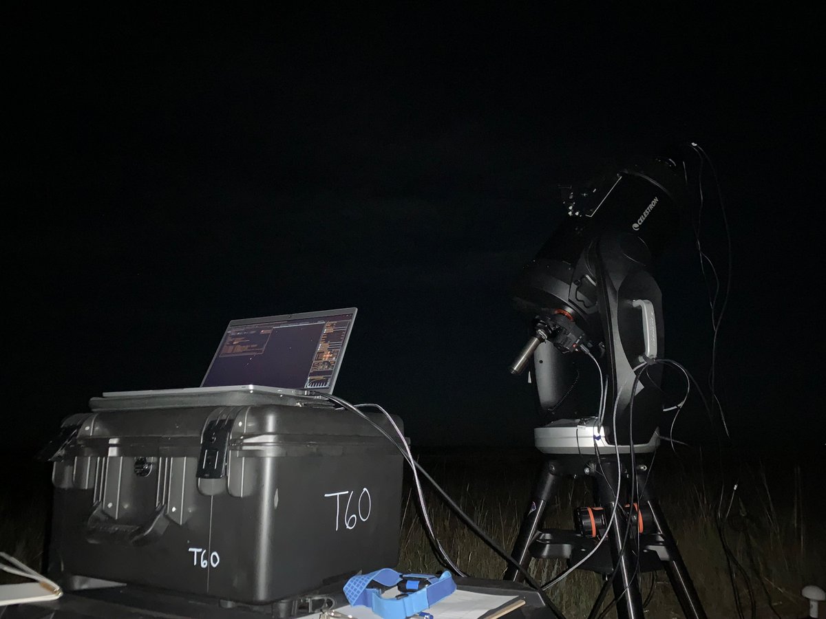 Elad David tweet media