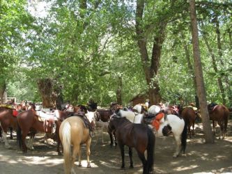 DudeRanchers's tweet photo. Ranches are wrapping up their seasons for the year and gearing up for the 2024 season! 

We are here to help you find the perfect dude ranch vacation! 
https://t.co/QFwZyksXVJ https://t.co/cds1D9zKio