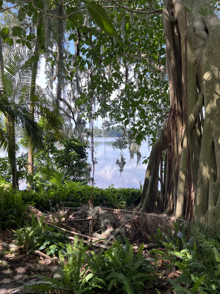 @RusticLiv Lake🌊 Trees 🌳 So wonderful🥰❤️