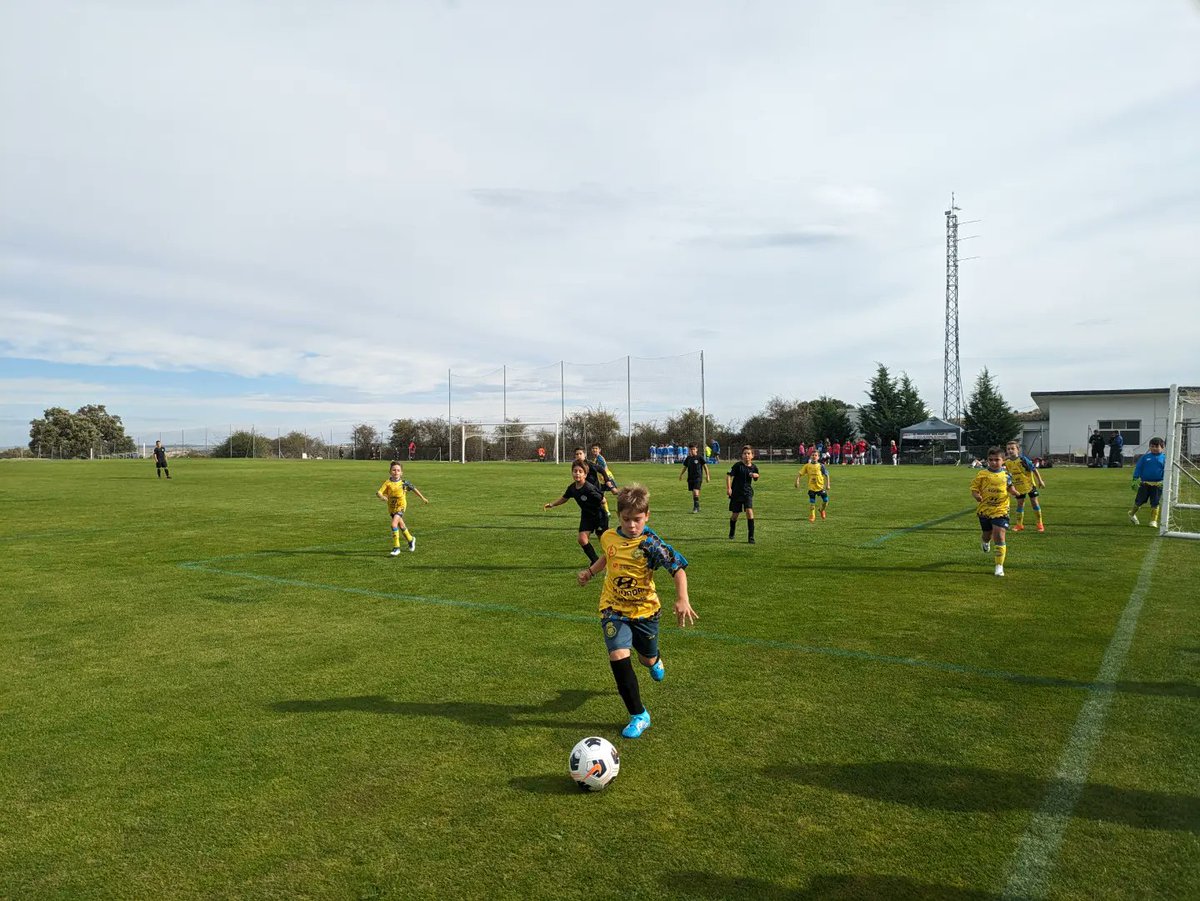 diocesavila's tweet photo. BENJAMIN G y D | Torneo Pretemporada Benjamín SFS (Los Ángeles de San Rafael)

Buena experiencia para nuestros benjamines que suman una experiencia más a su palmares deportivo.

#VamosDioce https://t.co/SbIK87q2ZO