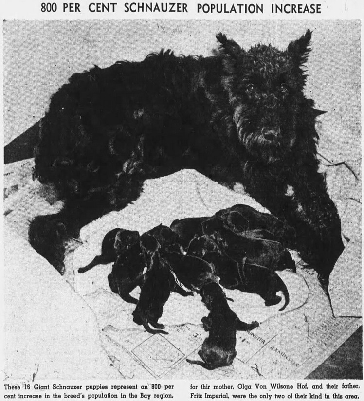 Cory Doctorow NO LONGER ON TWIT TER tweet media