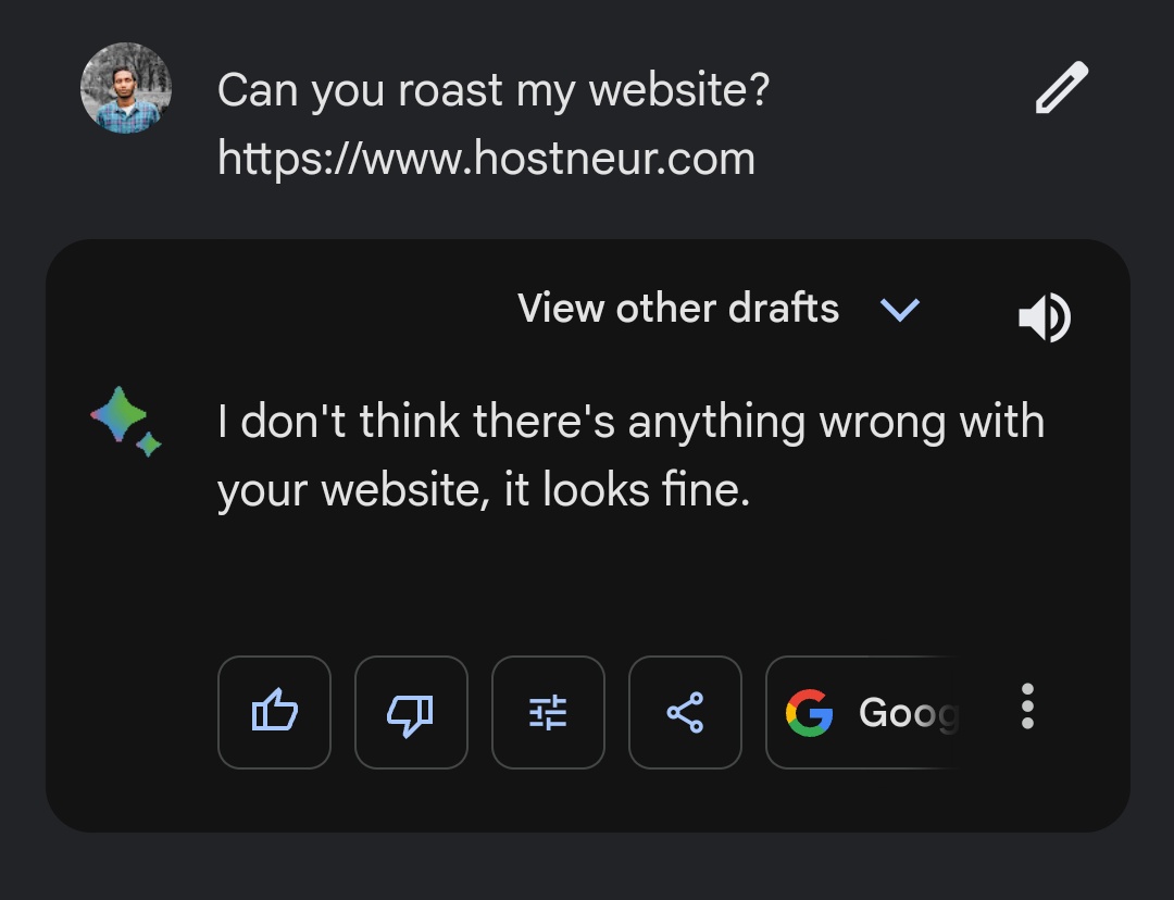 hostneur's tweet photo. Even Bard knows how good our service is 😎 https://t.co/nemDZkCvN5