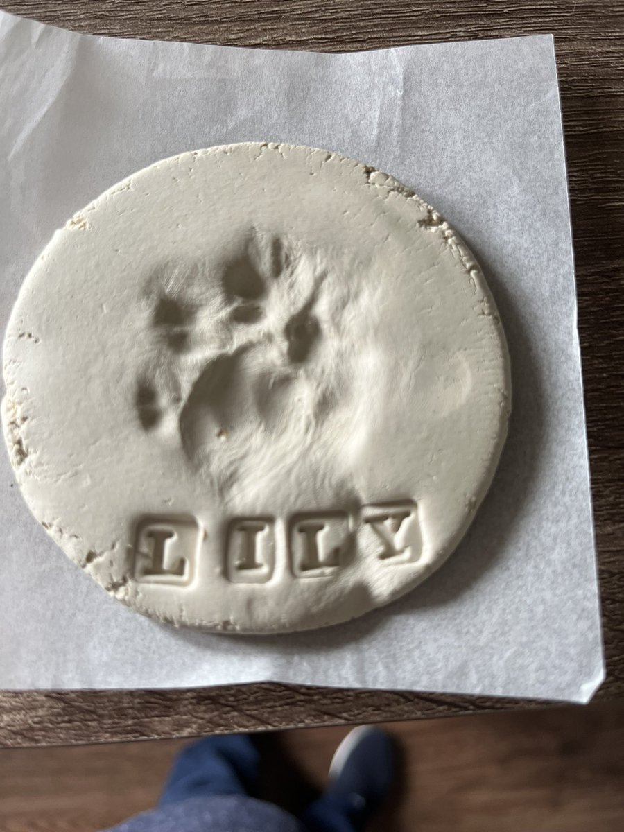 TarmoKat the Restless Antifascist tweet media