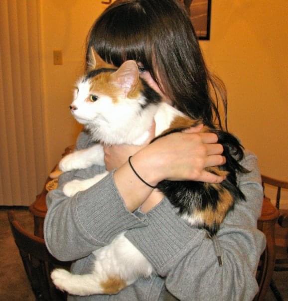 TarmoKat the Restless Antifascist tweet media