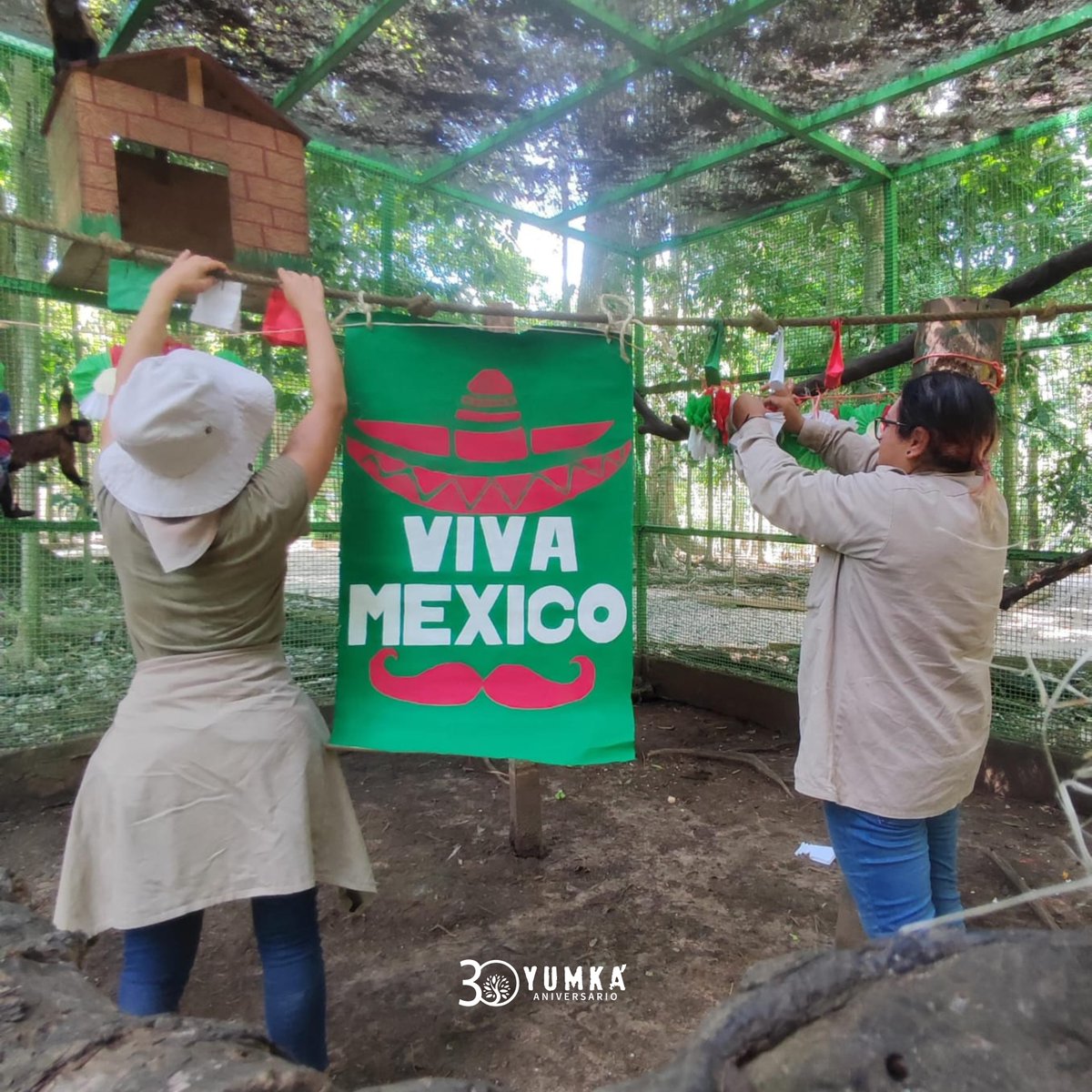 🇲🇽 🥳 Gracias al equipo de Bienestar Animal por realizar un divertido #enriquecimiento muy Mexicano, acciones encaminadas a promover la salud y el bienestar animal. 🐵 ¡Viva México!