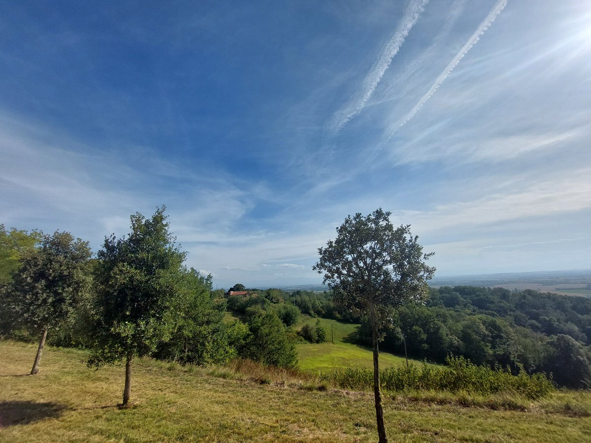 BulsaMarie's tweet photo. Bonsoir ami(e)s Twitter. Passez une belle soirée. 
Je vous offre un peu de douceur ❤️ #calmont #coteaux https://t.co/aDFl0OYD6f