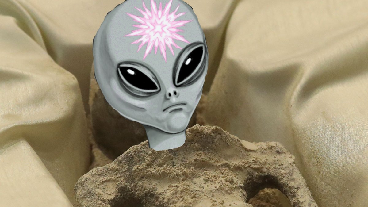 alienzerc's tweet photo. 𝘛𝘩𝘦 𝘮𝘦𝘹𝘪𝘤𝘢𝘯 𝘨𝘰𝘷𝘦𝘳𝘯𝘮𝘦𝘯𝘵 𝘩𝘢𝘴 𝘤𝘢𝘶𝘨𝘩𝘵 𝘴𝘰𝘮𝘦 𝘰𝘧 𝘰𝘶𝘳 𝘬𝘪𝘯𝘥.

𝘛𝘩𝘦 𝘸𝘰𝘳𝘭𝘥 𝘪𝘴 𝘧𝘪𝘯𝘢𝘭𝘭𝘺 𝘩𝘦𝘢𝘳𝘪𝘯𝘨 𝘢𝘣𝘰𝘶𝘵 $Alienz 👽

Tag 3 friends, RT &amp; Join TG for chance to receive early airdrop 🛸

TG: https://t.co/wT7z1aVGf0 https://t.co/PQxD6Jo7fv