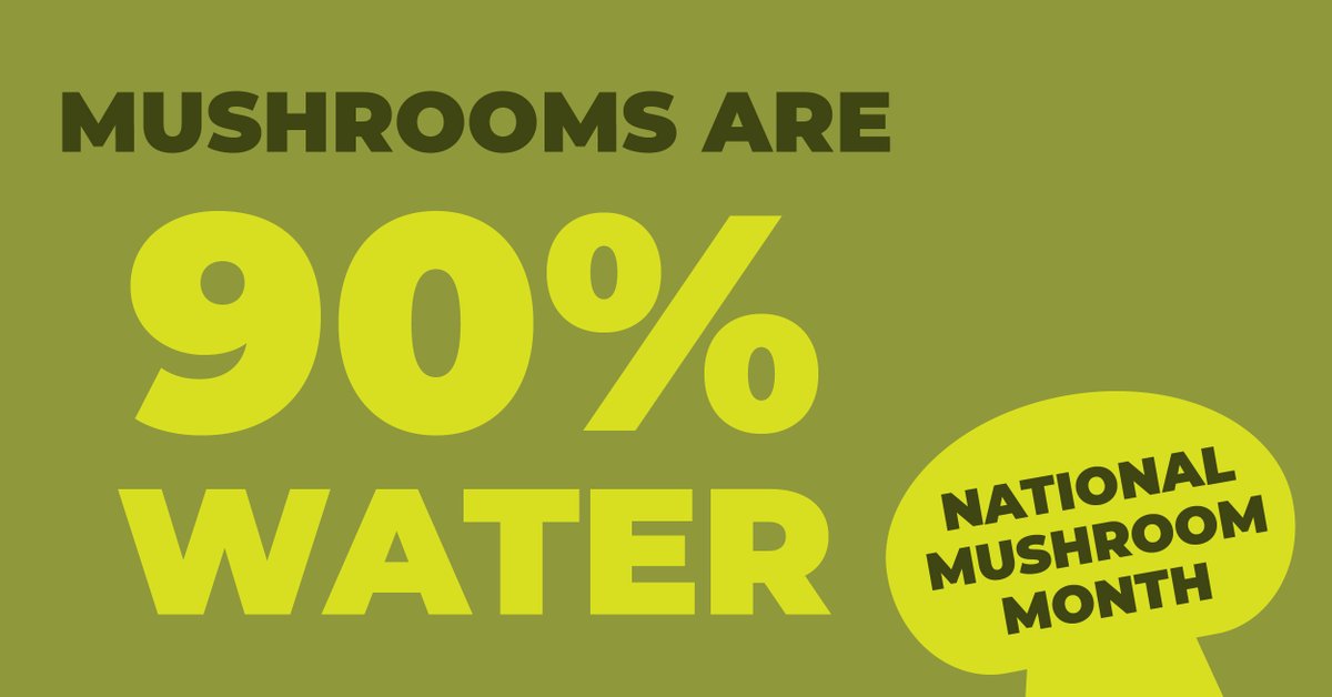 Ready for another fun fact about mushrooms to Get Fun With Fungi?

Did you know: Mushrooms are 90% Water?

#Getfunwithfungi #Nationalmushroommonth #Highlinemushrooms #Mushrooms #Mushroomfacts