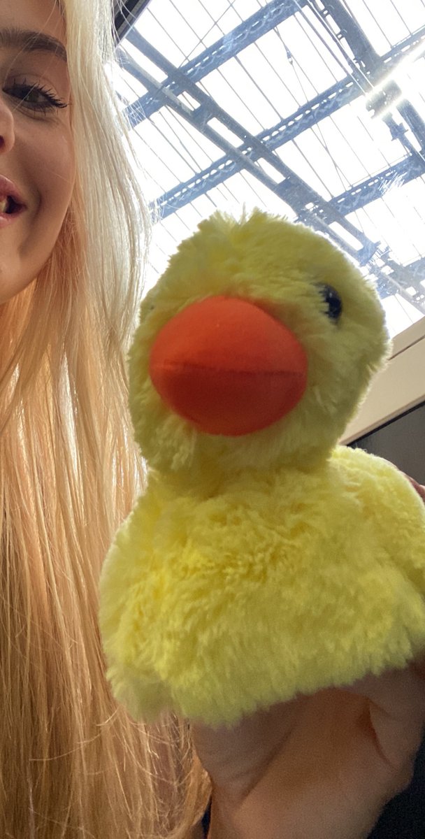 amyhessey's tweet photo. quack https://t.co/bEasoIkgUb