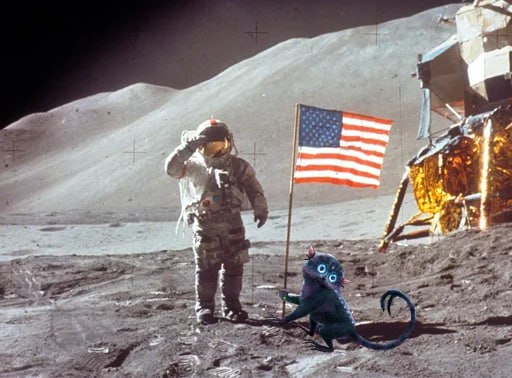 The average $MOONC holder...