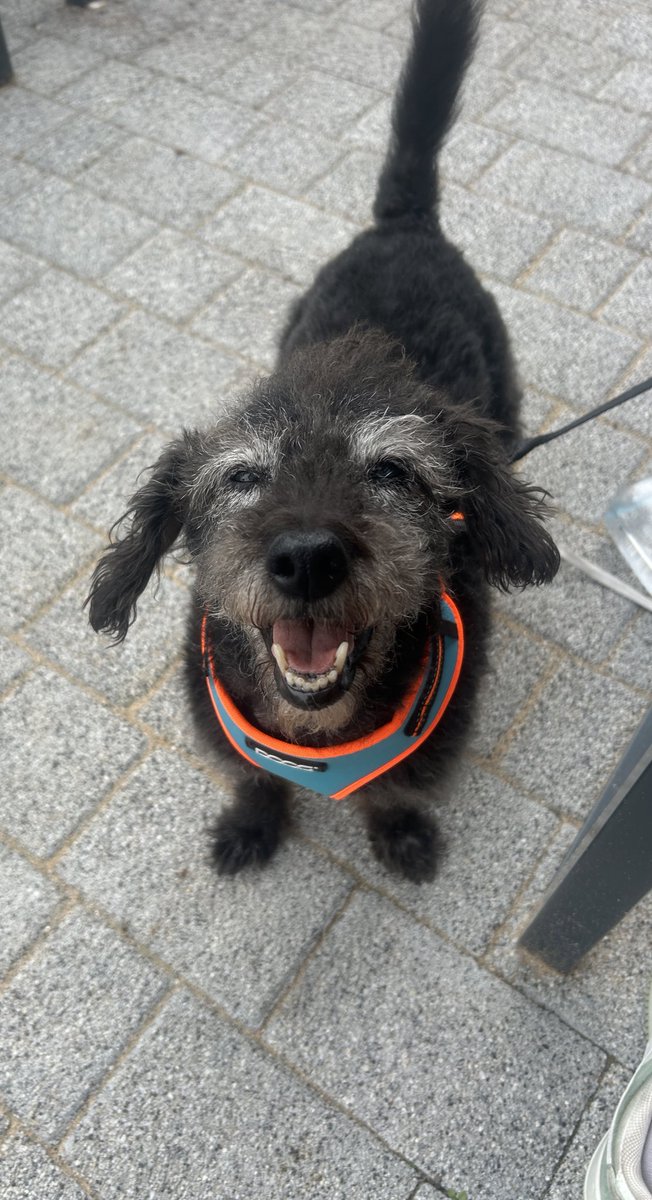 So gutted to not be seeing <a href="/fredagainagain1/">Fred again..</a> in Brussels tonight, had the flights ready and the tickets but this little chap needed us so no regrets for staying home with him instead ❤️
